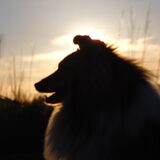 Foto van Just The Max