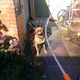 Foto van Michelle, baasje van Scotty en kater Charlie †
