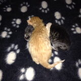 Foto van Suzanne en Luca