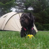 Foto van Ciska en Spanjaardje Moh (Bambi r.i.p.)
