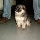 Mag ik met jou mee? (7 wkn)