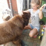 Foto van Willemijn - baasje van Vika .           Bams  en Ogin   ¥ .