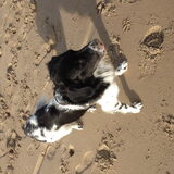 Foto van Michelle & Bentley