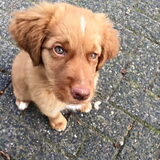 Foto van jannine & Jasper