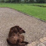 Foto van Jeanine :)