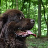 Foto van Jeanine :)