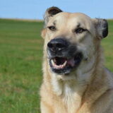 Foto van Jeanine :)