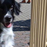 Foto van Michelle & Bentley