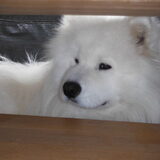 sweety