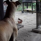 Foto van Ina, Misty en Aysa