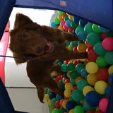 Foto van jannine & Jasper