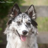 Foto van Angelique; Bruno, Charlie & Fenna