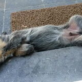 Foto van fabienne