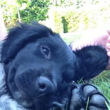 Foto van Doortje & Tibbe