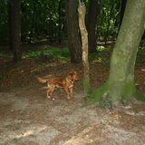 Foto van jannine & Jasper