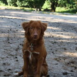 Foto van jannine & Jasper