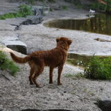 Foto van jannine & Jasper