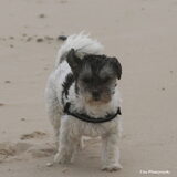 Foto van Lisa; Bobbie, Bentley & Lilly