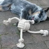 Foto van fabienne