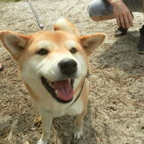 Foto van Jackie en Kiba:)