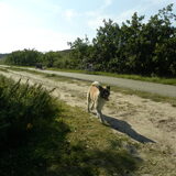 Foto van Jackie en Kiba:)