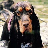 Foto van Valérie, Milo en Noa