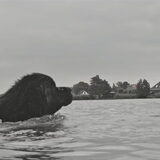 Foto van Jeanine :)