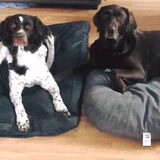 Foto van Fabienne & Joy