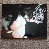 Puppy