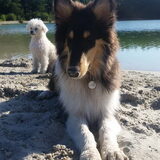 Foto van ~ Luna & Lèxi ~