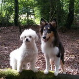 Foto van ~ Luna & Lèxi ~