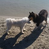 Foto van ~ Luna & Lèxi ~