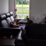 Foto van Sanne & Denise, Fanny, Vita