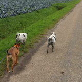 Foto van Sanne & Denise, Fanny, Vita