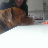 Foto van Michelle, baasje van Scotty en kater Charlie †