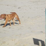Foto van Michelle, baasje van Scotty en kater Charlie †