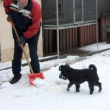 Kibor met Harrij in de sneeuw