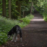 Foto van Jeanine :)