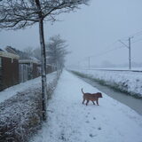 Foto van Michelle, baasje van Scotty en kater Charlie †
