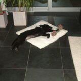 Foto van Nienke & Diesel