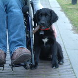 Foto van Nienke & Diesel