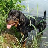 Foto van Maurien