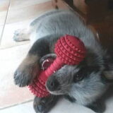 Foto van fabienne