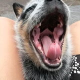 Foto van fabienne