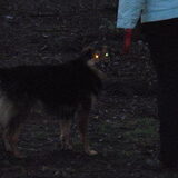 Bella met rode ogen :P