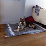 Foto van yooop