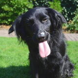 Foto van * Baasje Buddie met Anne*