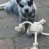 Foto van fabienne