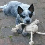 Foto van fabienne