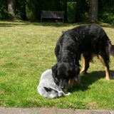 Foto van fabienne